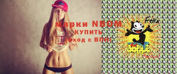 индика Киреевск