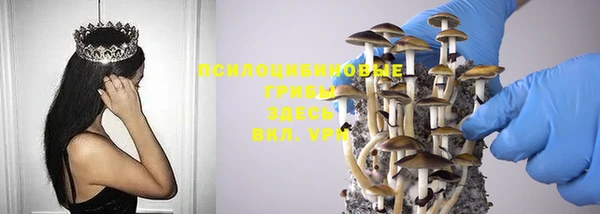 mdpv Карпинск