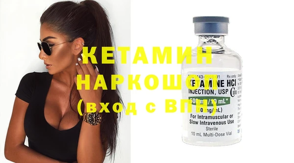 индика Киреевск