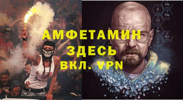 индика Киреевск