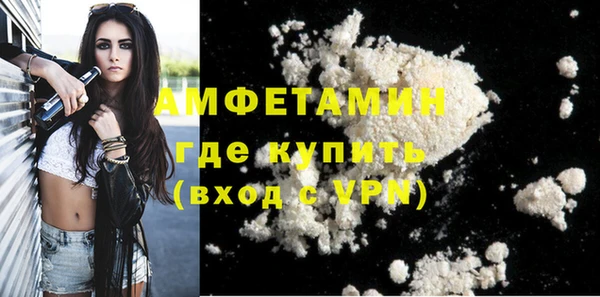 индика Киреевск