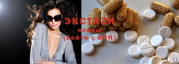 индика Киреевск